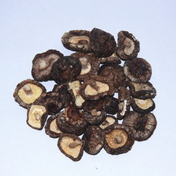 廠家直銷，正宗慶元小香菇 食用菌干貨批發新選擇